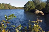 pond