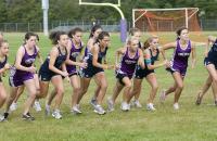 team