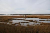 Chappaquiddick