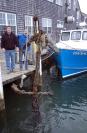 anchor