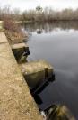 Pond