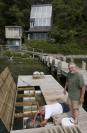 hatchery