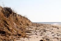 Wasque low tide beach