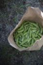 snow peas