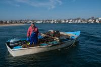 David Berube scalloper