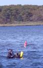diver