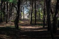 Sheriff's Meadow walk along the path.