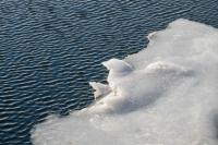 Delicate ice
