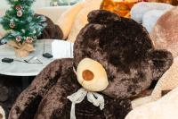 Each bear has its own name and personality.