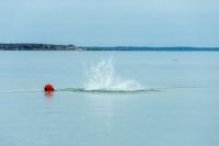 A buoy line fails under the intense force.
