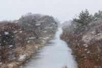 Snow falling over Herring Creek in Katama.