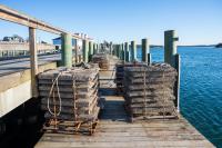 Oyster gear dries out in the sun.