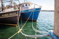 The "Richard Arnold" and the "Four Kids" in Menemsha harbor.