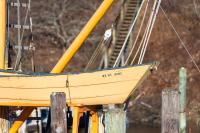 Auxiliary vessel aboard the "Little Lady."