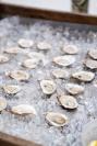 Cottage City Oysters.