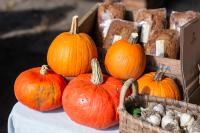 A small display at The West Tisbury Farmers Market.