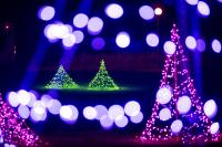 Deck the halls with boughs of holly Fa la la la la, la la la la.