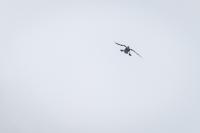 A double-crested cormorant coming in for a landing.