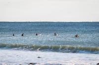 Waiting for the right wave.