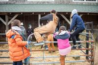 Hopping into the cow pen.