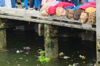 Peeking under the dock.