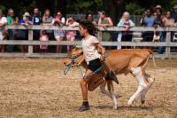 Juniper Begin leads her calf in the riding ring.