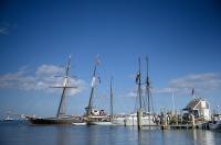 Local tall ships assemble at the dock.
