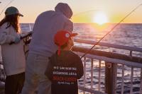 Learning to fish is the name of the game.