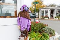 The Great Put On in Edgartown.