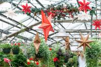 The nursery is known for going all-out.