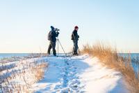 Looking for oceanic birds from the dunes.